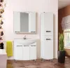 Купить Шкаф-зеркало Бриз шнз22-105 Бриз в Хабаровске