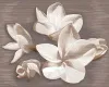 П Амати Плюмерия алба 50,5*40,2 (Азори, 2шт.) 584192003 в городе Хабаровск